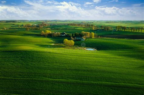 Aerial Landscape Of The Green Fields In Northern Poland At Spring Time