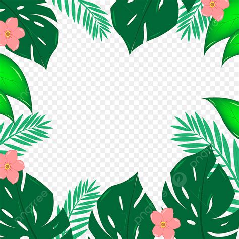 Folhas Tropicais Quadro Diferente PNG Folhas Diferentes Folhas