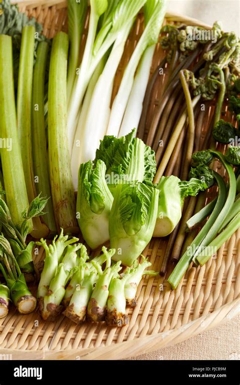 Edible Wild Plants Stock Photo Alamy