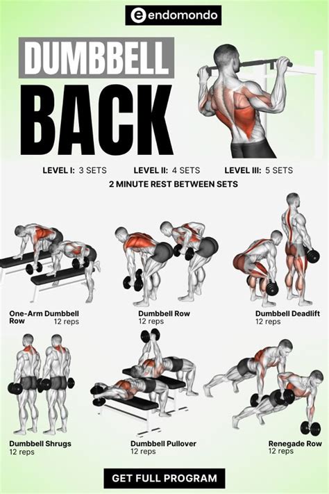 Strengthen Your Back: Dumbbell Back Workout for Definition in 2025 ...