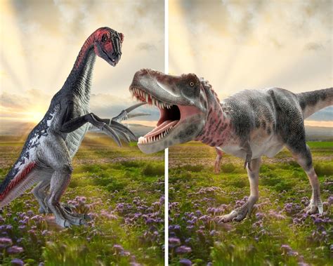 Therizinosaurus Vs. Tarbosaurus: Herbivore Vs. Carnivore