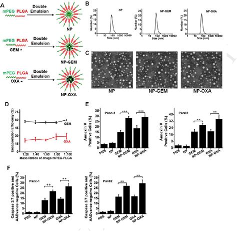 Figure 1 From Inducing Enhanced Immunogenic Cell Death With Nanocarrier