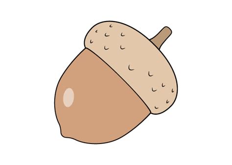 How To Draw An Acorn Step By Step EasyLineDrawing