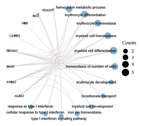 Gene Ontology Go And Kyoto Encyclopedia Of Whole Genes And Genomes