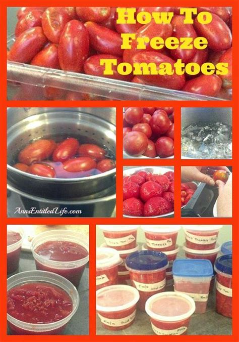 How To Freeze Tomatoes Step By Step Instructions On How To Easily