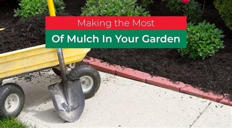 Mulching Methods For Your Garden Jobes Company