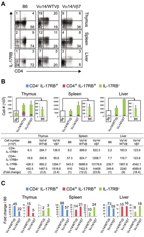 NKT cell subsets in NKT-iPSC-derived mice analyzed by cell surface ...