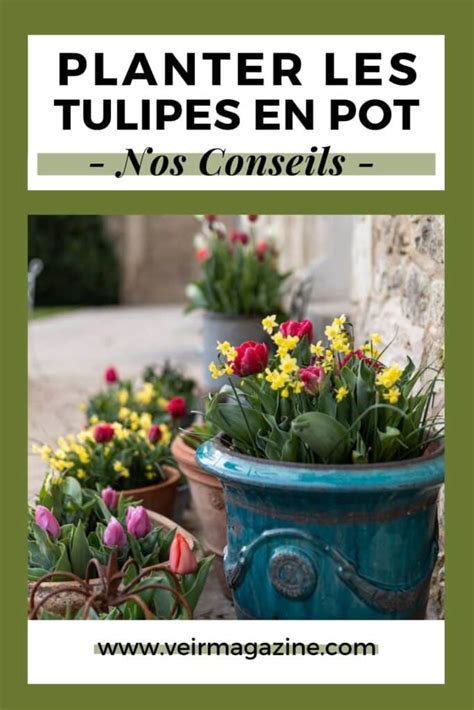 Comment planter des tulipes en pot Veìr Magazine