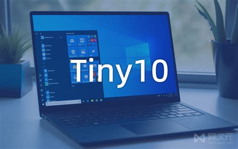 Tiny10 23h1 极限精简版 Windows 10 系统镜像下载 支持安装中文语言