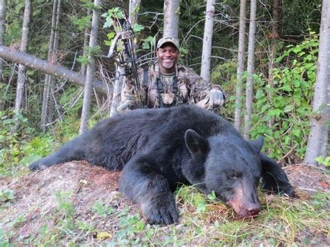 Maine Black Bear Hunting Trip