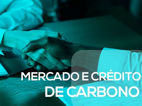 Mercado E Crédito De Carbono O Que São E Como Funcionam Emas Jr