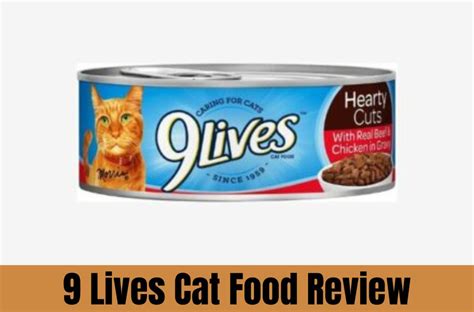 9 Lives Cat Food Review: Is It A Healthy Food?