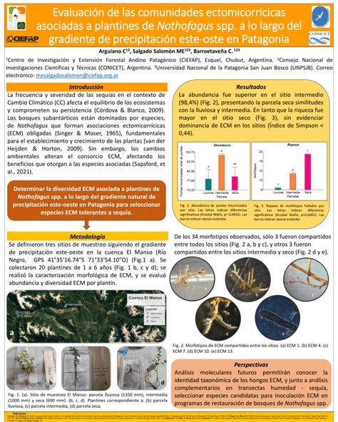 PDF Evaluación de las comunidades ectomicorrícicas asociadas a