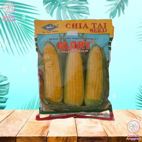 Jual Benih Jagung Manis Hibrida Glory Gram Shopee Indonesia