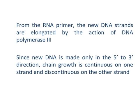 Enzyme Involved In Dna Replication Ppt