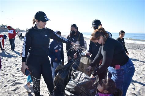 Playas Limpias Retiran Toneladas De Basura En Zona Costera De Ceuta