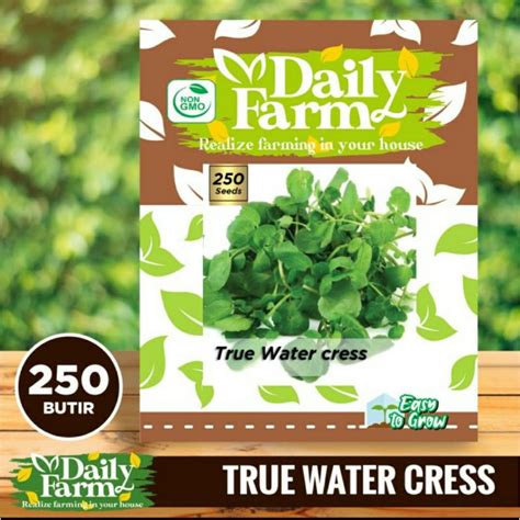 Jual Daily Farm Benih Selada Air True Watercress Bibit Selada