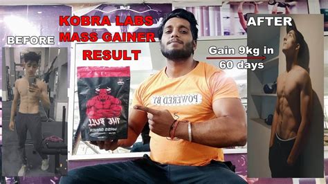 Kobra Labs Bull Mass Gainer Result 60 Days Transformation Youtube