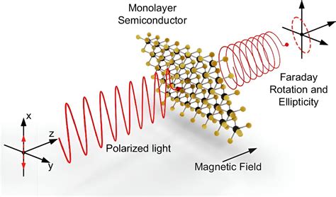 Study Shows Ultra Thin Two Dimensional Materials Can Rotate The