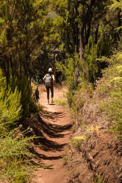 Vista Trasera De Un Hombre Caminando Por Un Sendero En El Bosque Foto