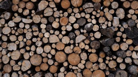 Stack Of Wooden Stumps Tree Trunks In Cross Section Texture Wall