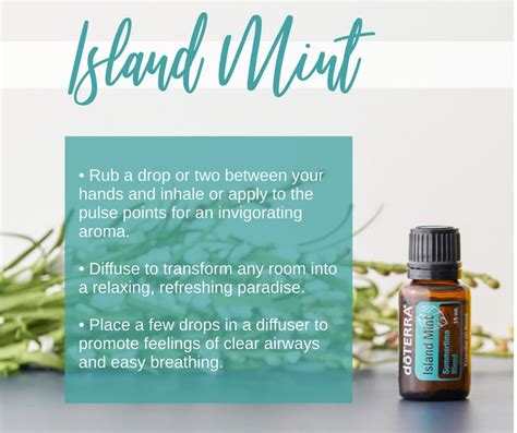 Get This Exclusive Island Mint Essential Oil For 24 50 Wholesale