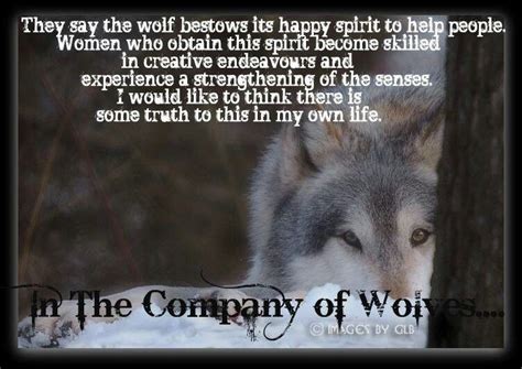 Spirited Wolf Pictures Wolf Spirit Wolf Quotes