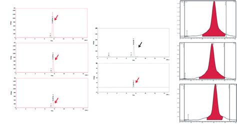 A Radio Ultraviolet High Performance Liquid Chromatography Uv Hplc Download Scientific