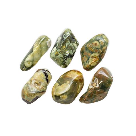 Rainforest Rhyolite Tumbled Set Large Crystal Vaults