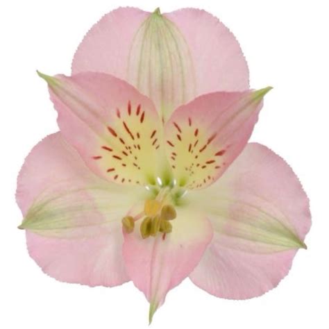 Posted on Mar 24, 2024 with 9,477 notes