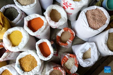 Myanmar Exports Over Mln Tons Of Beans Pulses In Nearly Months