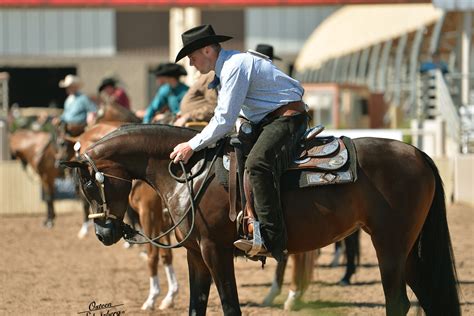 2024 Scottsdale » Arabian Horse World