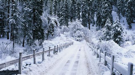 nature, Landscape, Winter, Snow, Bridge Wallpapers HD / Desktop and ...