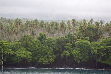 Islanders On The Rocky Shore Of Tropical Trees With Cocoa Plantation On