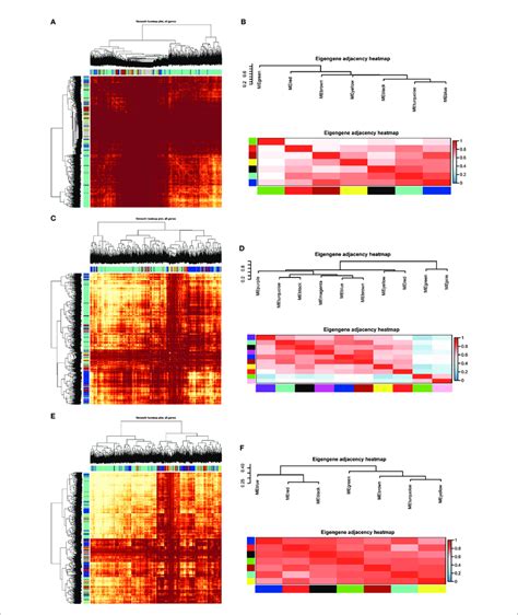 Module Preservation Analysis Visualization Of The Wgcna Network