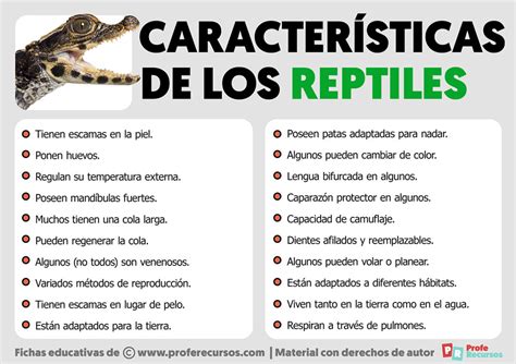 Características de los Reptiles