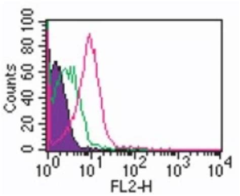 Tlr Antibody B Bsa Free Novus Biologicals Mg