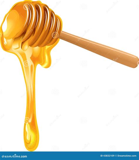 Honey Dipper And Honeycomb Vector Illustration | CartoonDealer.com ...