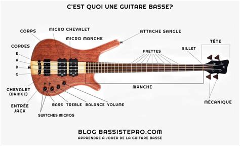 Guitare Basse Ou Basse Lectrique Cours De Basse