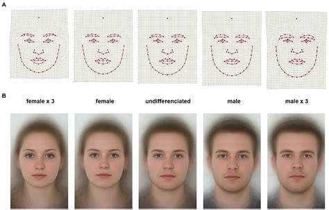 Eye Color And Face Shape Influence Trustworthiness Hot Sex Picture