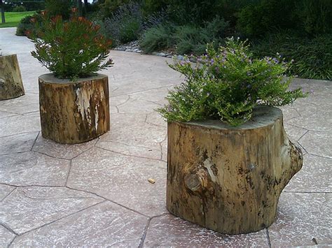 Charming Tree Stump Planter: Enriching 8-Step Project