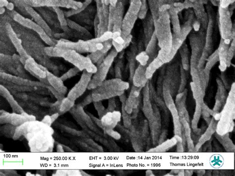 Surface Topography Mapped Using Scanning Electron Microscope Sem For