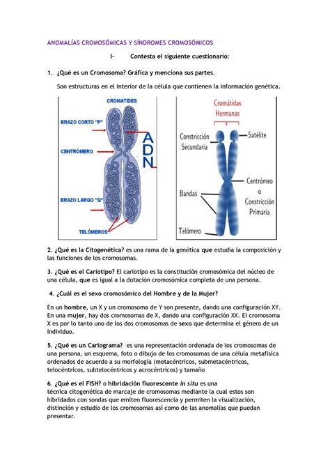 Practicas DEL Ultimo Parcial Genetica Teoria ANOMALÍAS CROMOSÓMICAS