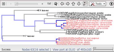 NCBI Tree Viewer