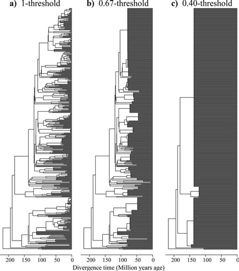 A Schematic Diagram To Show How To Create Phylogenies With Reduced