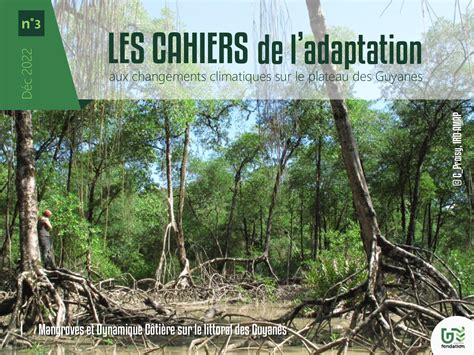 Calam O Les Cahiers De L Adaptation N Mangroves Et Dynamique