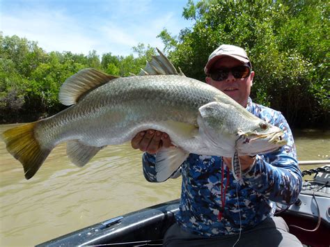 Darwin Run Off Barra Fishing Balista Lures