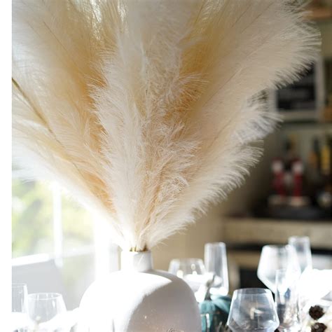 Buy Trendy Home Decor Pampas Grass Decor Tall Pcs Inch Natural