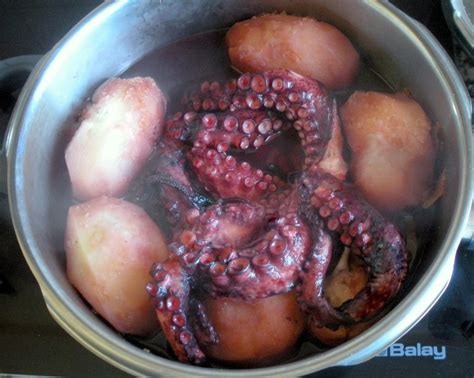 Aqu Se Cocina Pulpo Cocido En Olla R Pida Sin Agua