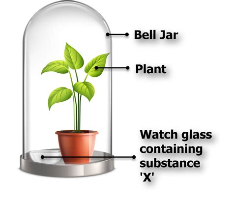 The Given Figure Is A Demonstration Of An Experiment To Show That